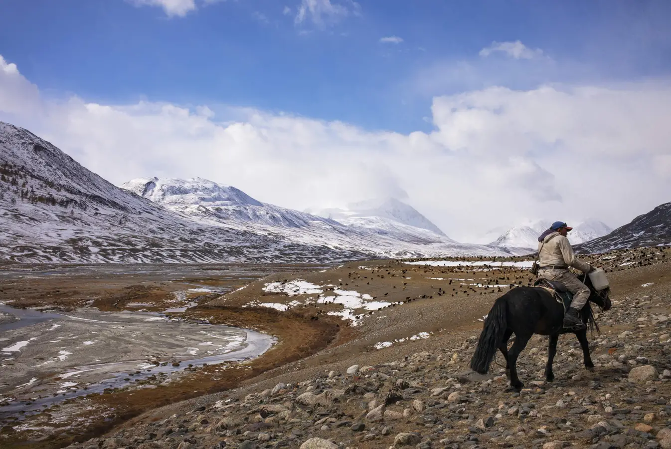 Altai: confronto completo, consulenza ed esperienza